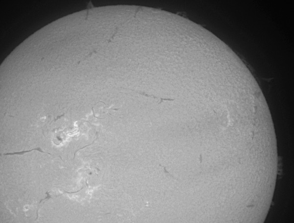 A fragment of the chromosphere in Ha from 08.11.2025