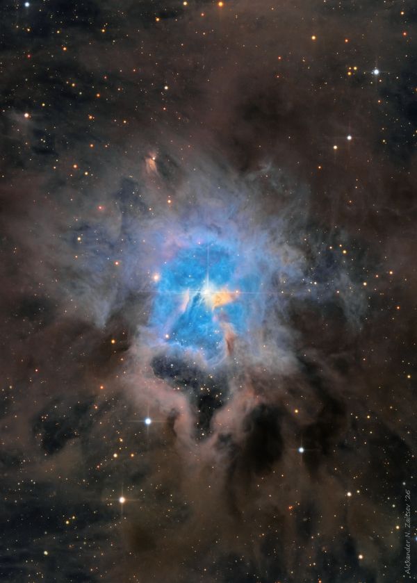 NGC 7023 (Iris) in LRGB filters