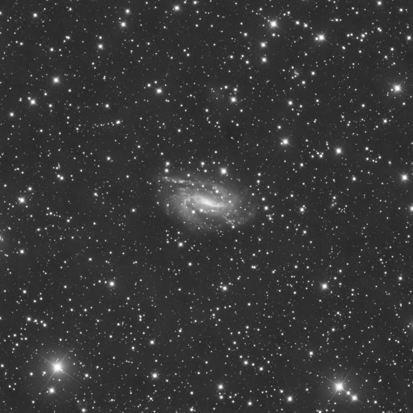 NGC 925