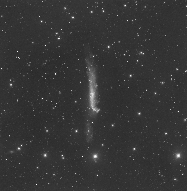 NGC 4656