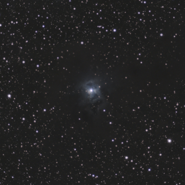 NGC 7023 - The Iris Nebula