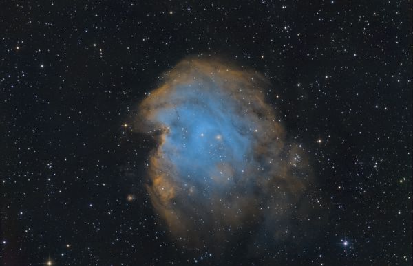 NGC 2174 Monkey Head nebula