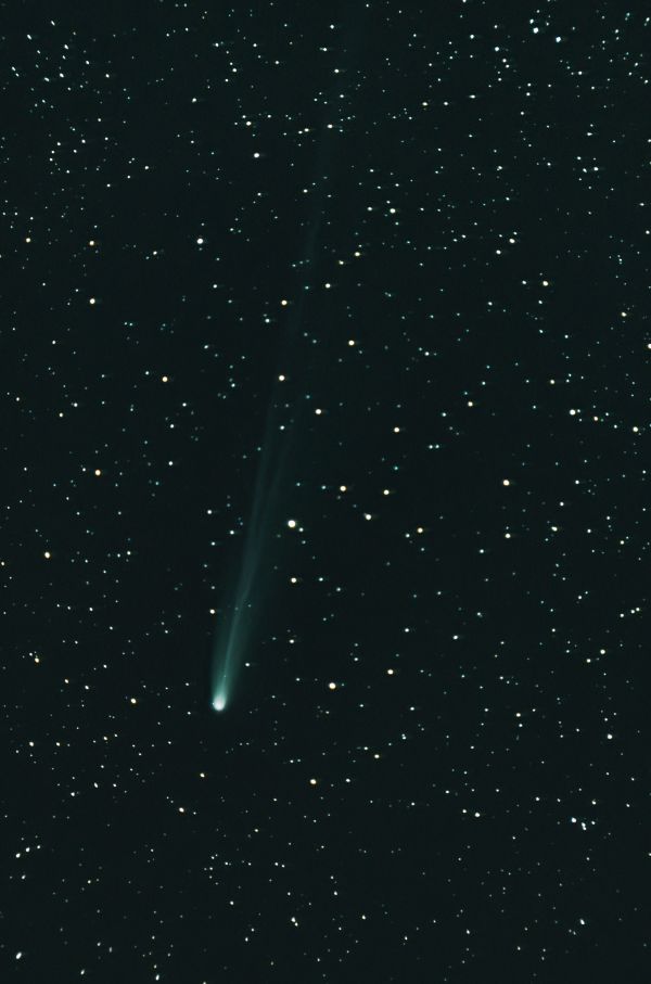 Comet C/2025 A6 Lemmon