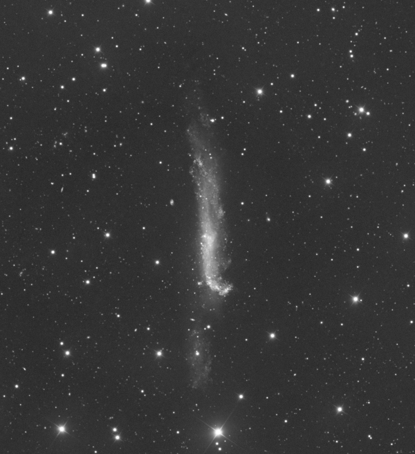 NGC 4656