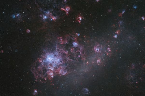 Tarantula Nebula