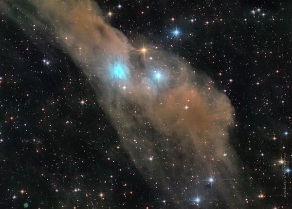 Av Hunter 1, nebulae LBN 534 and VdB 158, planetary nebula PK 110-12.1