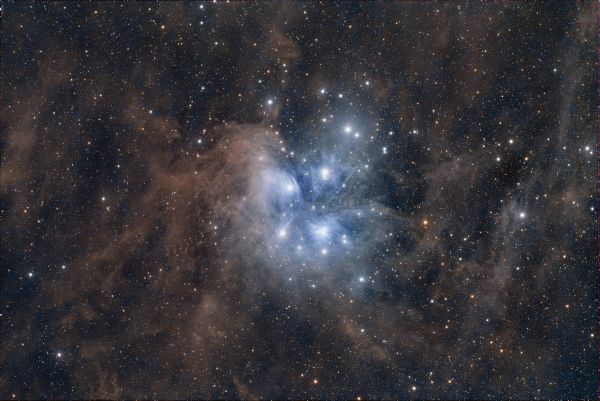 The Dusty Pleiades.
