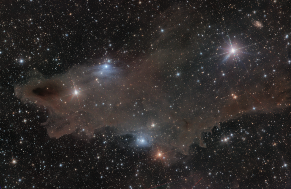 Dark Shark Nebula LDN1235
