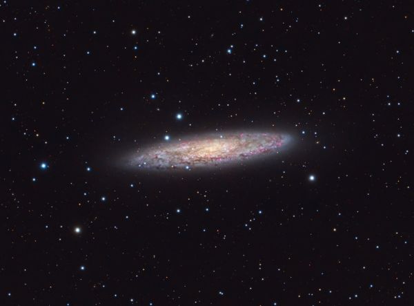 NGC253 Sculptor Galaxy (highlighting H-alpha regions)