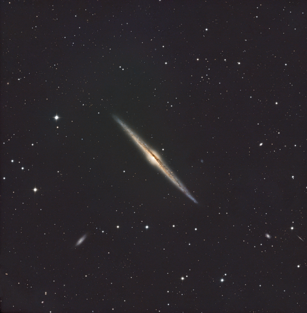 NGC4565