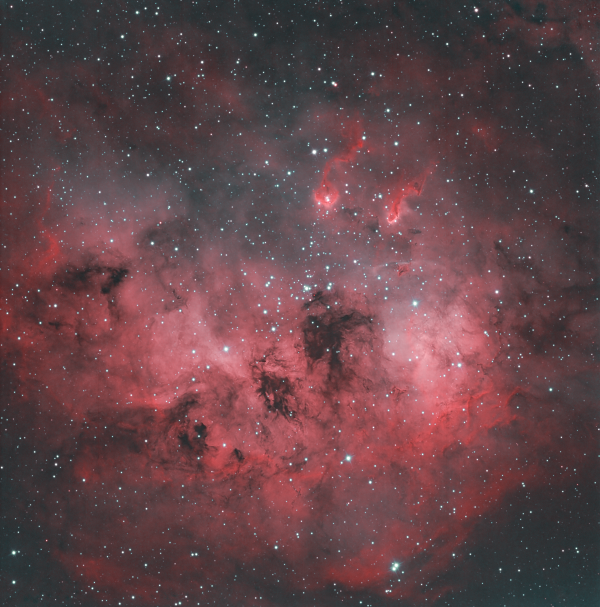 IC 410