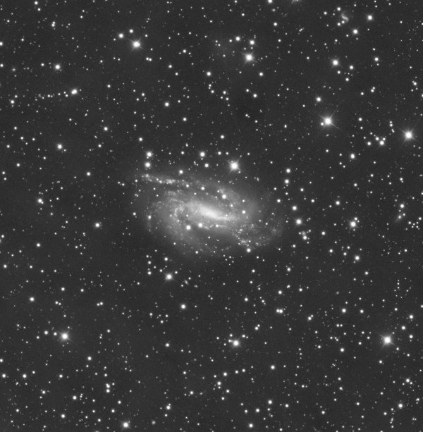 NGC 925