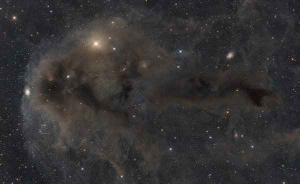 LDN 1251 The Rotten Fish